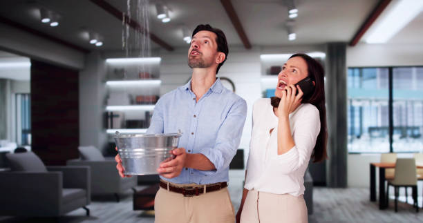 Best Water damage contractors near me  in Palm Bay, FL